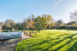 Rear garden angle 2- click for photo gallery